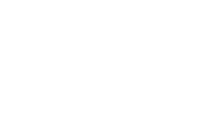 Đại lý chiến lược